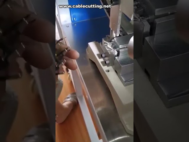 Полуавтоматический станок для обжима 2-контактных штепсельных вилок (EU-тип)