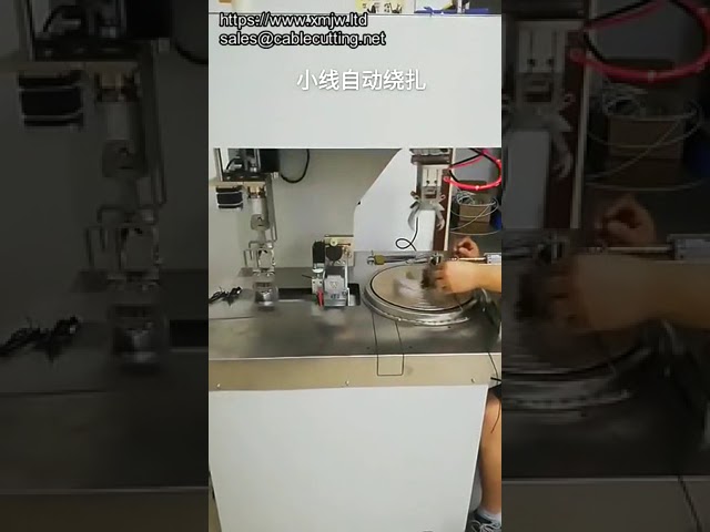 Automatic Wire Twist Tie Machine | Cable Coil Winding and Binding Machine