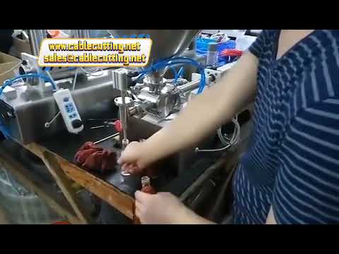 Single & Double Head Filling Machine for 10ml to 5000ml Detergent, Yogurt, and Viscous Sauces