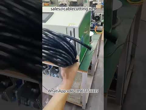 Wire Winding and Taping Machine | Automated Wire Processing Equipment