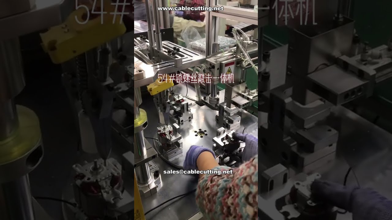 Specialized Multi-Model Screw Fastening Machine for Motors with Long Screw Feeder