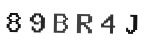 Verification Code Image