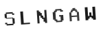 Verification Code Image
